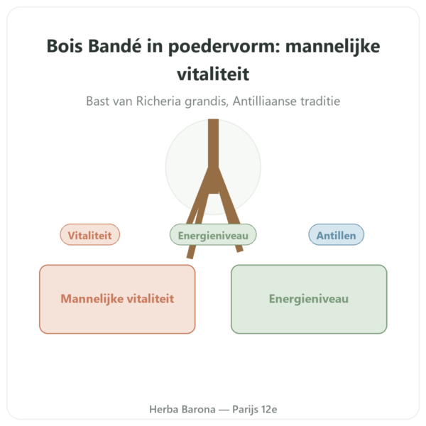 Bois Bandé poeder aphrodisiacum voor de man presentatie Paris Herba Barona