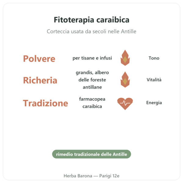 Bois Bandé in polvere afrodisiaco per uomo benefici e dati chiave Paris Herba Barona