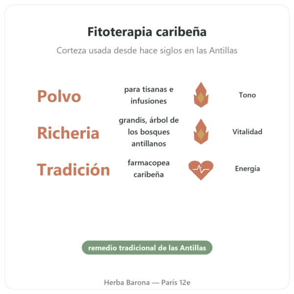 Bois Bandé en Polvo – Afrodisíaco para Hombre beneficios y datos clave Paris Herba Barona