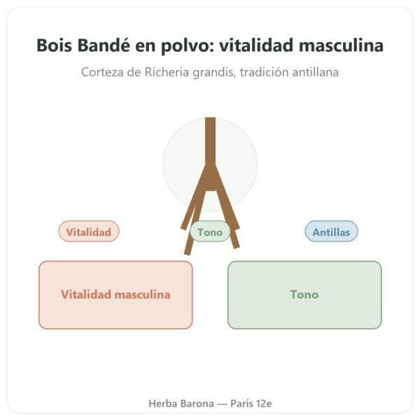 Bois Bandé en Polvo – Afrodisíaco para Hombre presentación Paris Herba Barona