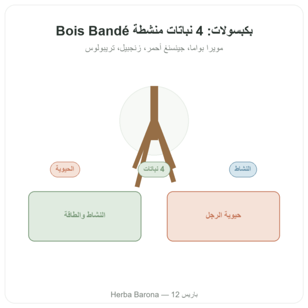 بوا باندي – 75 كبسولة – منشط سريع عرض المنتج Paris Herba Barona