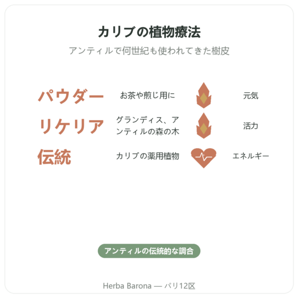 Bois Bandé パウダー 男性の活力に benefits and key facts Paris Herba Barona