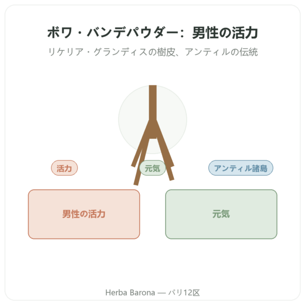 Bois Bandé パウダー 男性の活力に presentation Paris Herba Barona