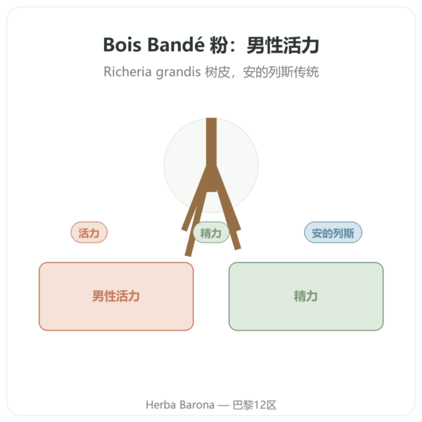 Bois Bandé 粉末 男士助兴植物配方 产品展示 Paris Herba Barona