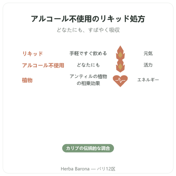 Bois Bandé リキッド ノンアルコール(ボワ・バンデ) benefits and key facts Paris Herba Barona