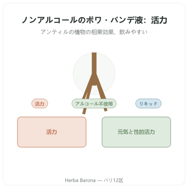 Bois Bandé リキッド ノンアルコール(ボワ・バンデ) presentation Paris Herba Barona
