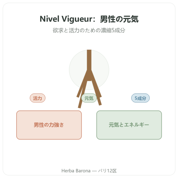 Nivel Vigueur – 40カプセル – Api-nature presentation Paris Herba Barona
