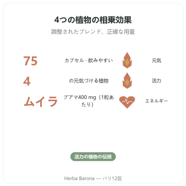 Bois Bandé – 75カプセル – 男性の活力サポート benefits and key facts Paris Herba Barona
