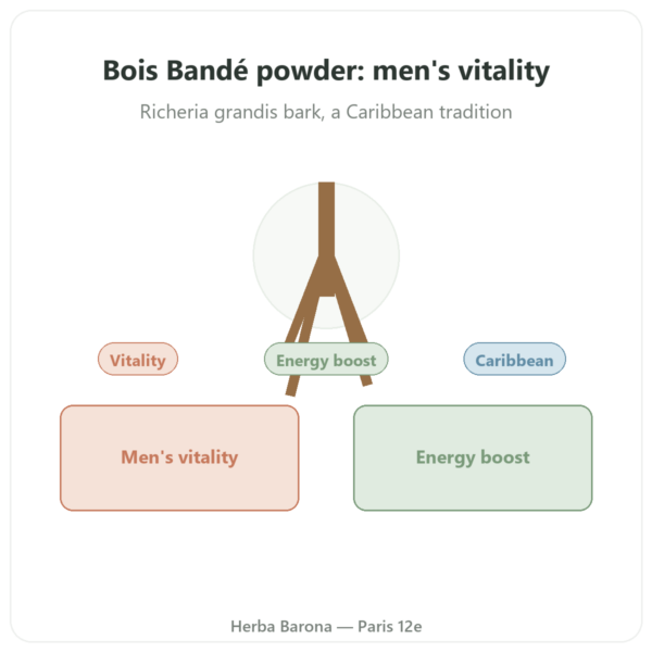 Bois Bandé Powder – Natural Aphrodisiac for Men presentation Paris Herba Barona