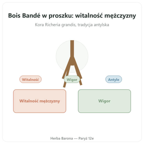 Bois Bandé w proszku – afrodyzjak dla mężczyzn prezentacja Paris Herba Barona