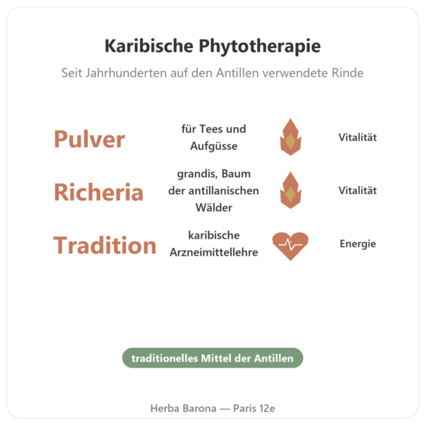 Bois Bandé Pulver – Aphrodisiakum für Männer Vorteile und Fakten Paris Herba Barona