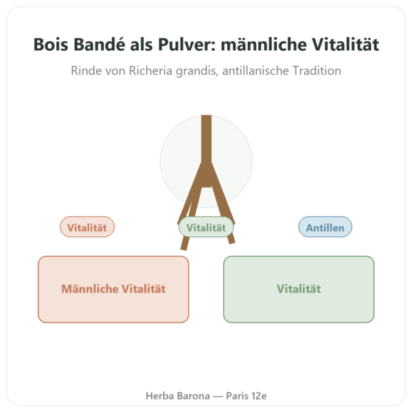 Bois Bandé Pulver – Aphrodisiakum für Männer Vorstellung Paris Herba Barona