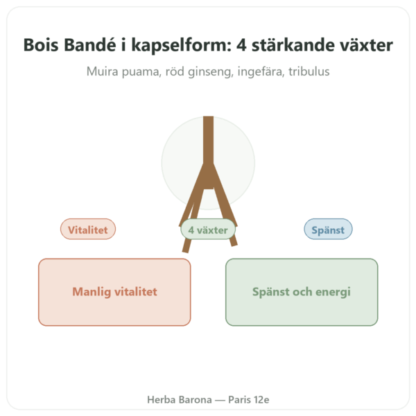 Bois Bandé – 75 kapslar – snabbverkande afrodisiakum presentation Paris Herba Barona