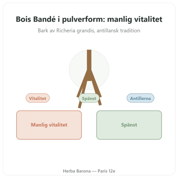 Bois Bandé i pulverform – afrodisiakum för män presentation Paris Herba Barona