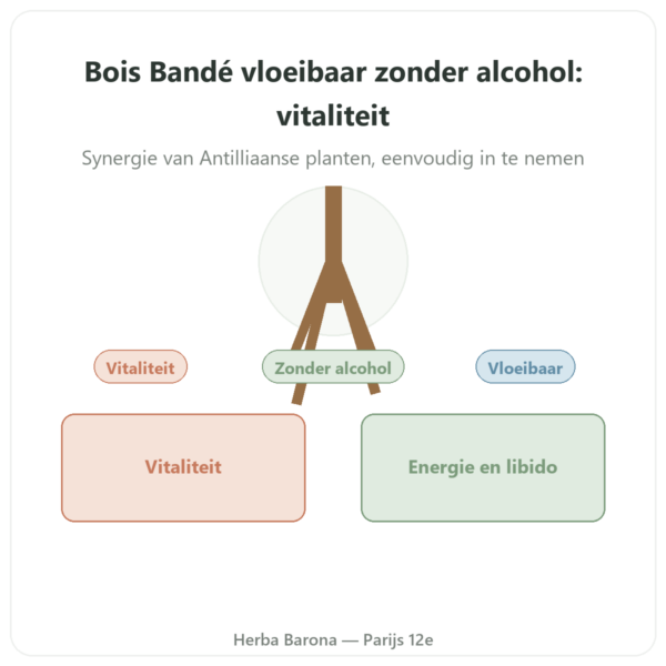 Bois Bande vloeibaar zonder alcohol presentatie Paris Herba Barona