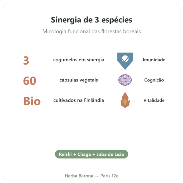 Boostalife Bio – SIHO 60 cápsulas (Reishi, Chaga, Hericium) benefícios e dados principais Paris Herba Barona
