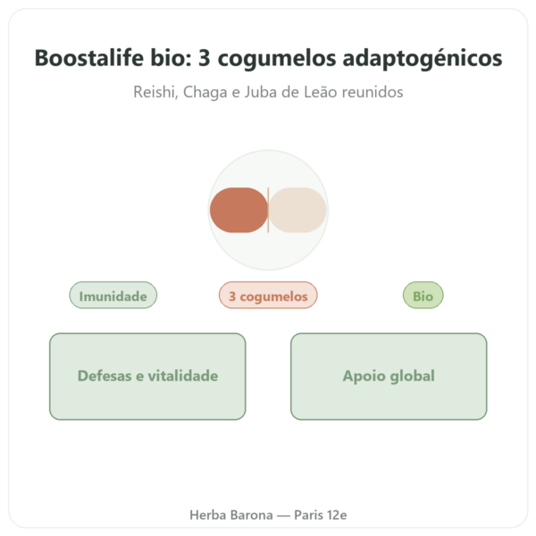Boostalife Bio – SIHO 60 cápsulas (Reishi, Chaga, Hericium) apresentação Paris Herba Barona