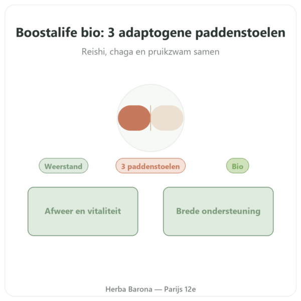 Boostalife Bio - SIHO - 60 capsules (Reishi, Chaga, Hericium) presentatie Paris Herba Barona
