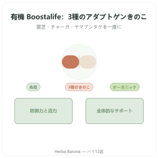 Boostalife ビオ – SIHO 60カプセル（レイシ、チャーガ、ヤマブシタケ） presentation Paris Herba Barona