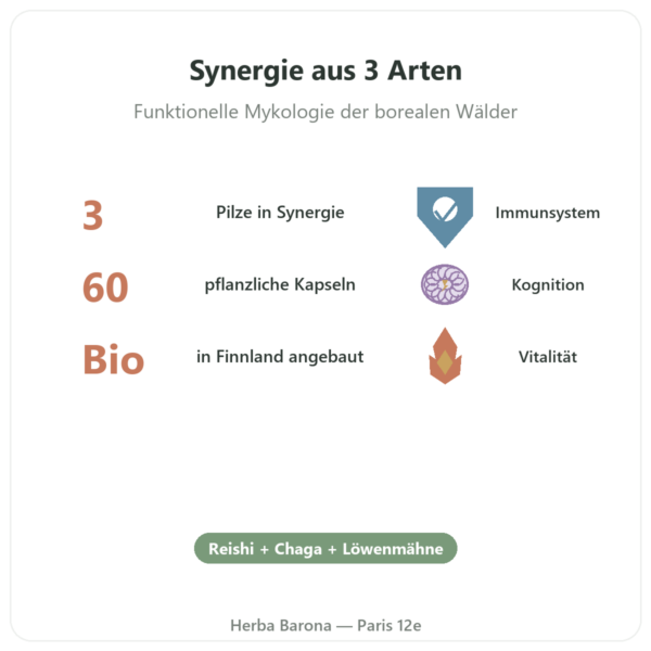 Boostalife Bio – SIHO – 60 Kapseln (Reishi, Chaga, Hericium) Vorteile und Fakten Paris Herba Barona