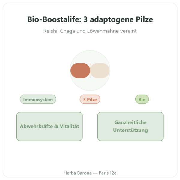 Boostalife Bio – SIHO – 60 Kapseln (Reishi, Chaga, Hericium) Vorstellung Paris Herba Barona