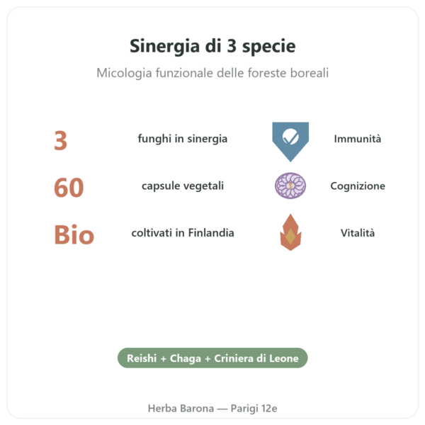 Boostalife Bio – SIHO 60 capsule (Reishi, Chaga, Hericium) benefici e dati chiave Paris Herba Barona