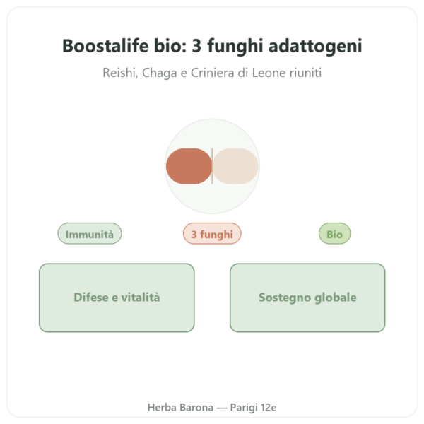 Boostalife Bio – SIHO 60 capsule (Reishi, Chaga, Hericium) presentazione Paris Herba Barona