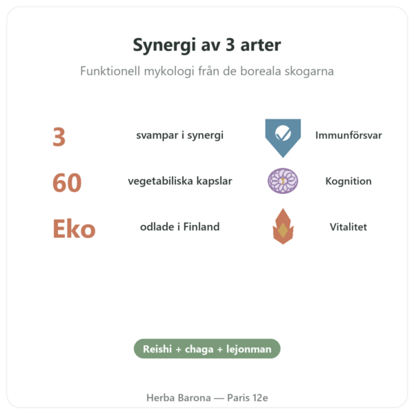 Boostalife EKO – SIHO 60 kapslar (Reishi, Chaga, Hericium) fördelar och nyckelfakta Paris Herba Barona