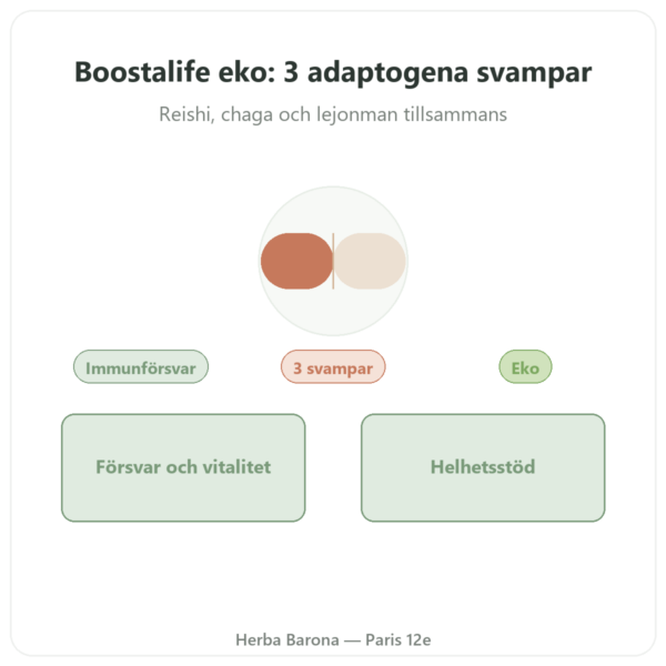 Boostalife EKO – SIHO 60 kapslar (Reishi, Chaga, Hericium) presentation Paris Herba Barona