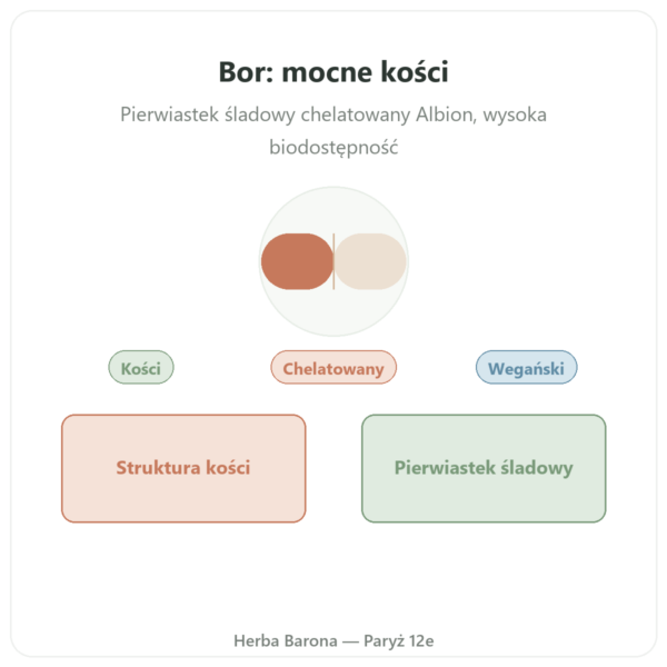 Bor 3mg 100 Kapsułek Roślinnych Now Foods Albion traacs prezentacja Paris Herba Barona