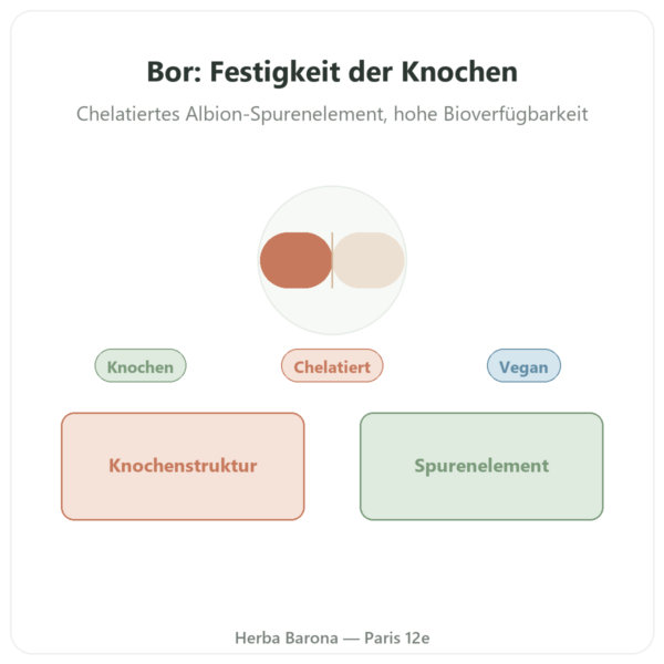 Bor 3 mg – 100 pflanzliche Kapseln – Now Foods Albion TRAACS Vorstellung Paris Herba Barona
