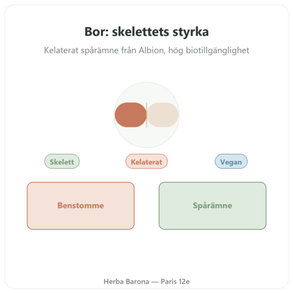 Bor 3mg 100 Vegetabiliska Kapslar Now Foods Albion Traacs presentation Paris Herba Barona