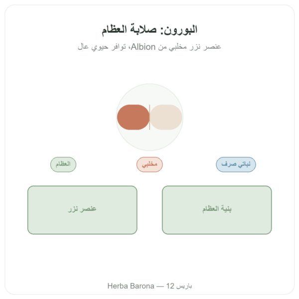 بورون 3 ملغ – 100 كبسولة نباتية – Now Foods Albion Traacs عرض المنتج Paris Herba Barona