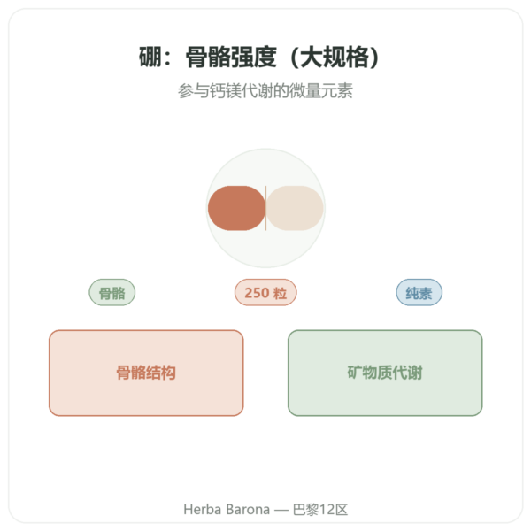 硼 3毫克 – NOW Foods – 250粒植物胶囊 产品展示 Paris Herba Barona