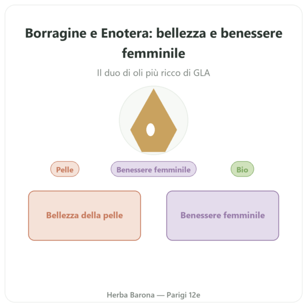 Borragine Enotera BIO – 90 Capsule – Vecteur Santé presentazione Paris Herba Barona