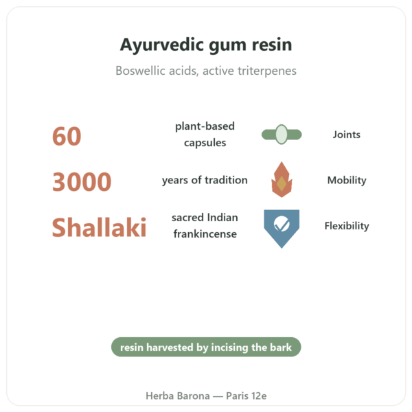 Boswellia - Ayur-vana - 60 Capsules benefits and key facts Paris Herba Barona