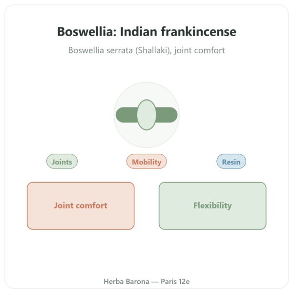 Boswellia - Ayur-vana - 60 Capsules presentation Paris Herba Barona