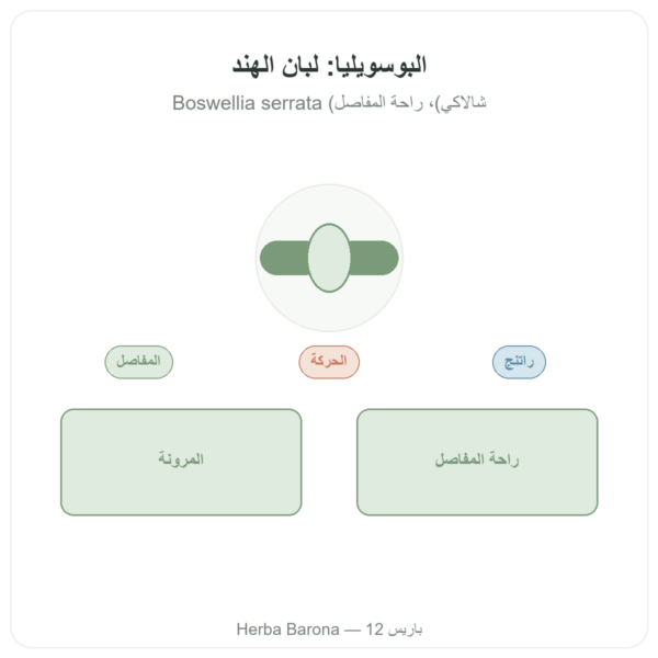 بوسويليا – Ayur-vana – 60 كبسولة عرض المنتج Paris Herba Barona