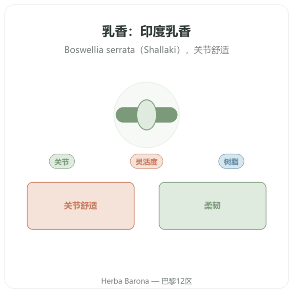乳香(Boswellia)– Ayur-vana – 60粒胶囊 产品展示 Paris Herba Barona