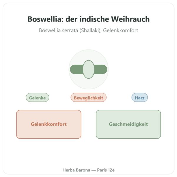 Boswellia – Ayur-vana – 60 Kapseln Vorstellung Paris Herba Barona