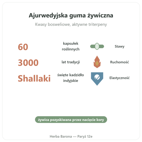 Boswellia – Ayur-vana – 60 kapsułek korzyści i najważniejsze fakty Paris Herba Barona