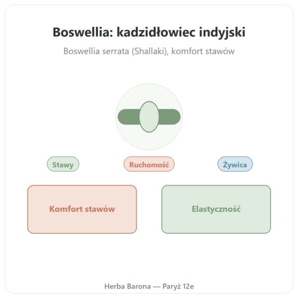 Boswellia – Ayur-vana – 60 kapsułek prezentacja Paris Herba Barona