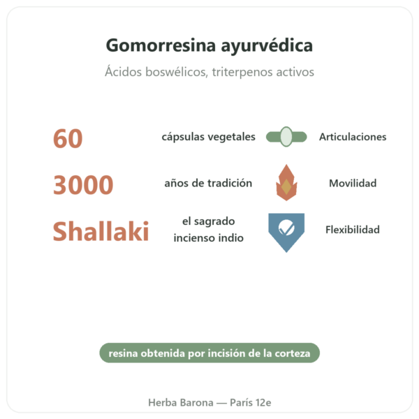 Boswellia – Ayur-vana – 60 Cápsulas beneficios y datos clave Paris Herba Barona