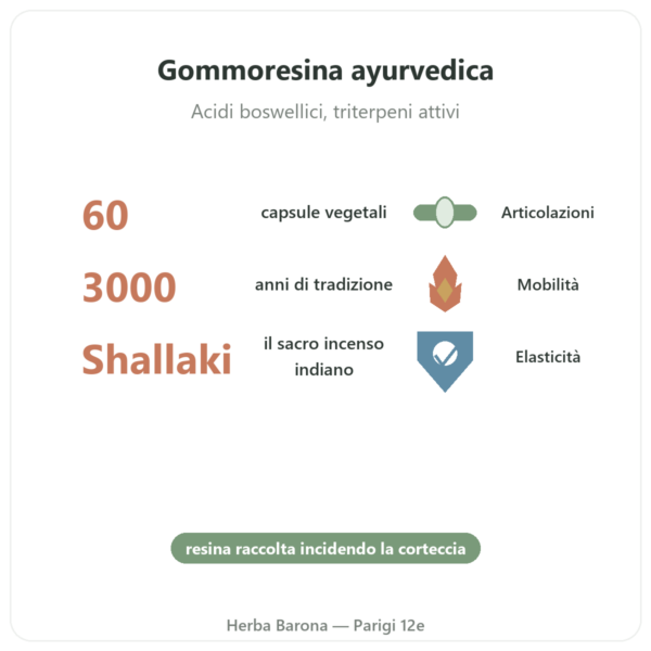 Boswellia – Ayur-vana – 60 capsule benefici e dati chiave Paris Herba Barona
