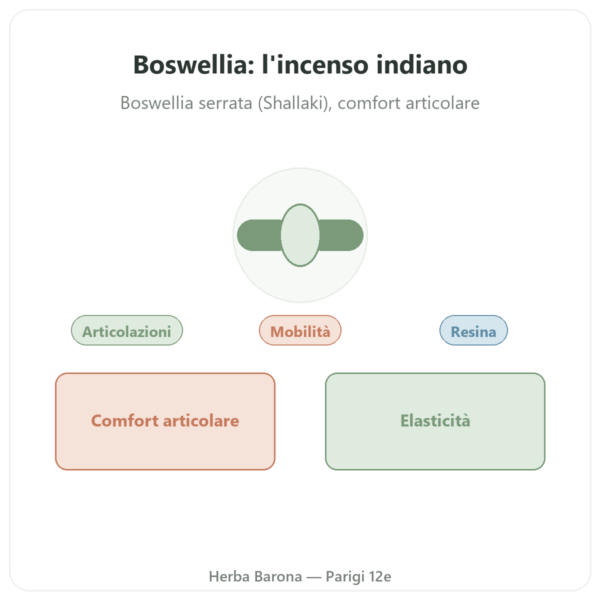Boswellia – Ayur-vana – 60 capsule presentazione Paris Herba Barona