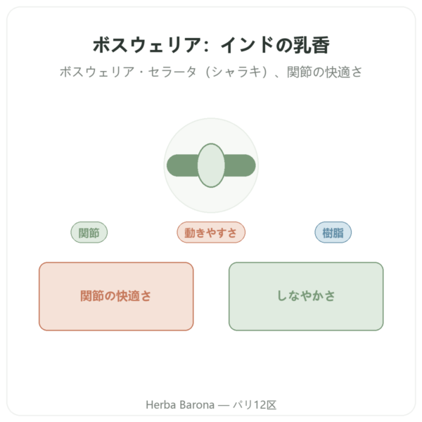 ボスウェリア – Ayur-vana – 60カプセル presentation Paris Herba Barona