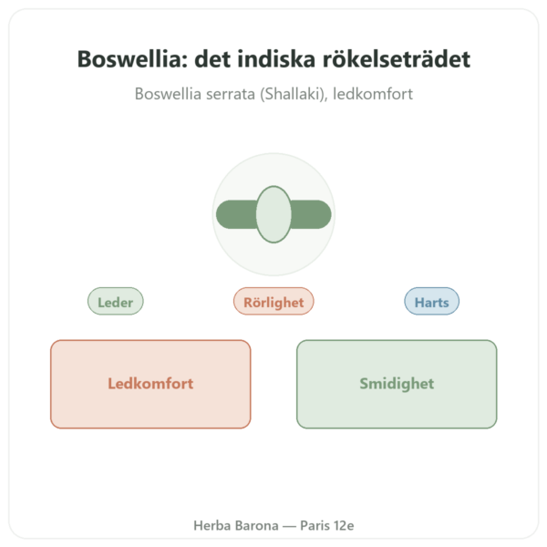 Boswellia – Ayur-vana – 60 kapslar presentation Paris Herba Barona