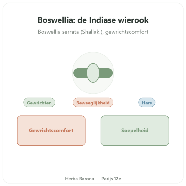 Boswellia – Ayur-vana – 60 capsules presentatie Paris Herba Barona