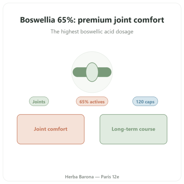 Boswellia Serrata 65% – Ayur-vana – 120 Capsules presentation Paris Herba Barona
