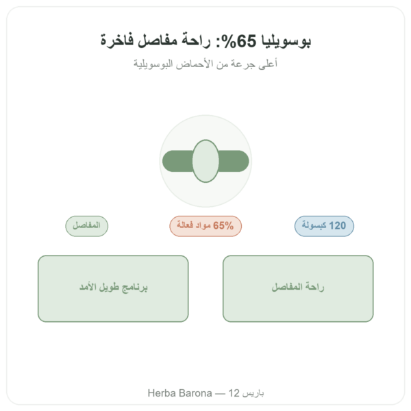 بوسويليا سيراتا 65% – Ayur-vana – 120 كبسولة عرض المنتج Paris Herba Barona